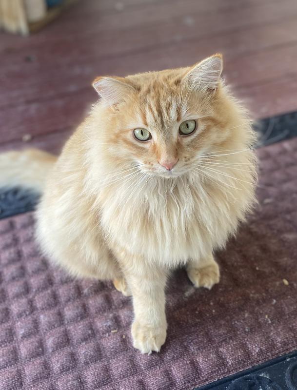 So adorable