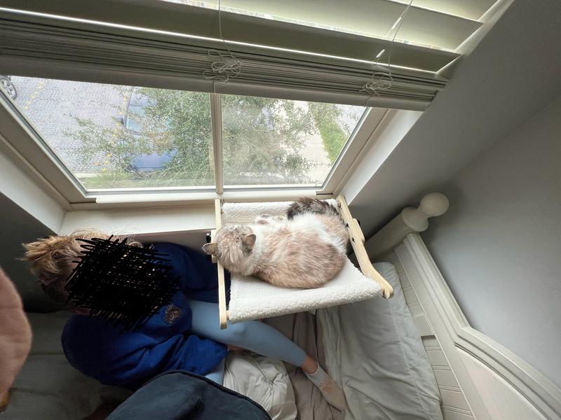 Coziwow Cat Perch Cat Hammock Window Seat, Padded Cat Wall Bed For Indoor Cats No Drilling No Suction Cup Pink F6f88a6c 1341 4055 B15a E32ad36d9f7b.0ac023b7054c30bf2eac4d9fc5e39641