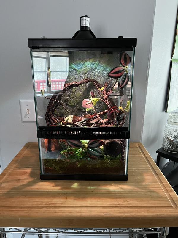 イコリア土地　トライオーム10枚セット　スタイルfoil混合 ZILLA Tropical Vertical Starter Kit with Mini Halogen Lighting