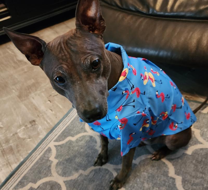 I'm so handsome