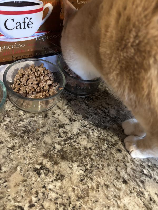 Another cat earring but left the salmon.