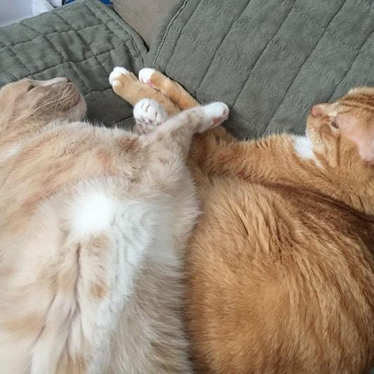 Pierre Maurice and Reddington