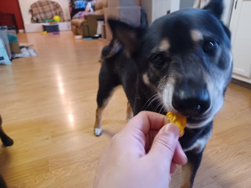 Handing Soren a slice, he chomps them down so fast it's hard to get a picture!