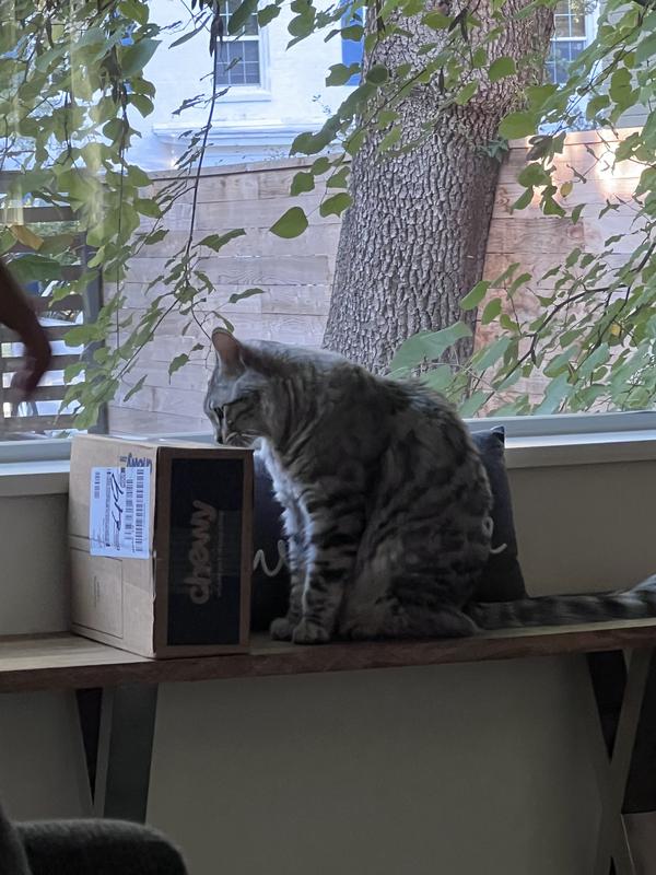 He could smell the silvervine through the box.