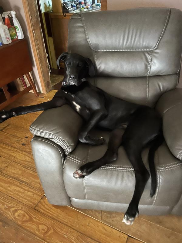 Looks are deceiving.