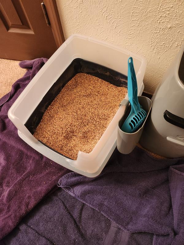 Iris litter box with shield sale