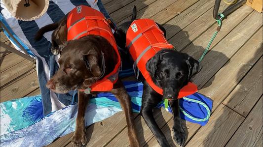 XL (left, 90lb) and L (right, 65lb)