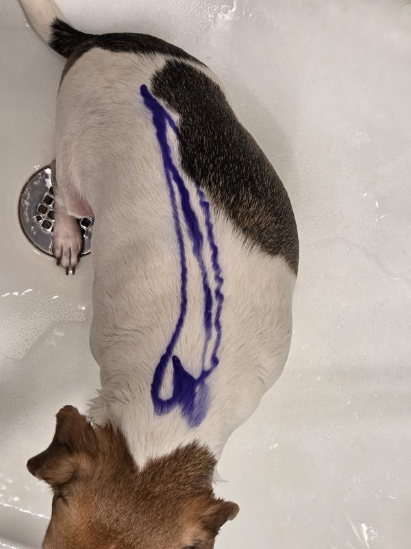 Did not spread much from where it was applied. The purple pretty much stayed where it was put