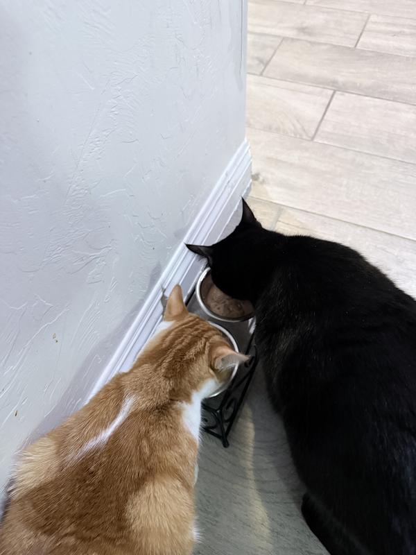 Trying out the new texture.