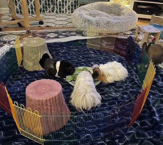 Floor time
