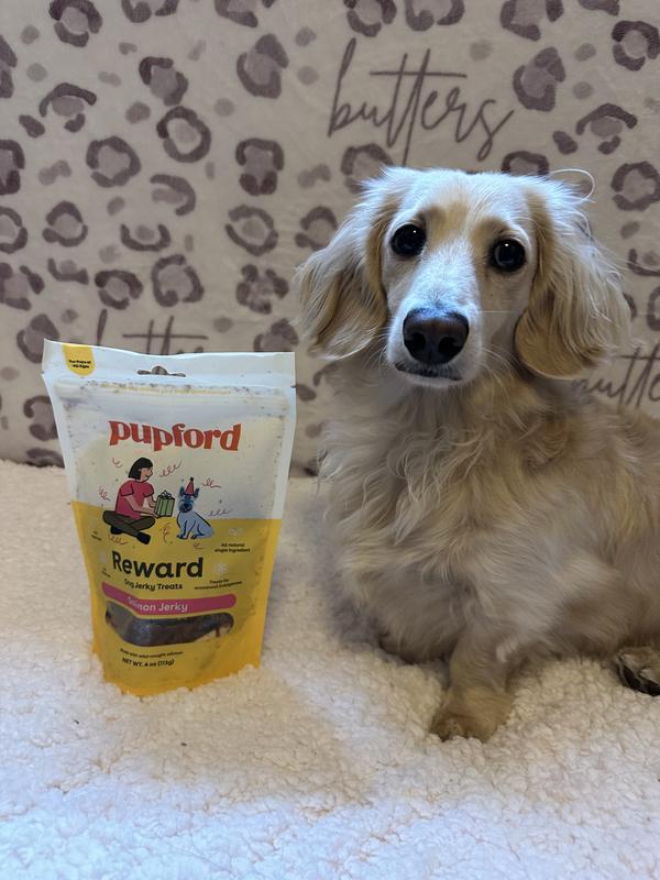 PUPFORD Salmon Jerky Dog Treats, 8oz bag