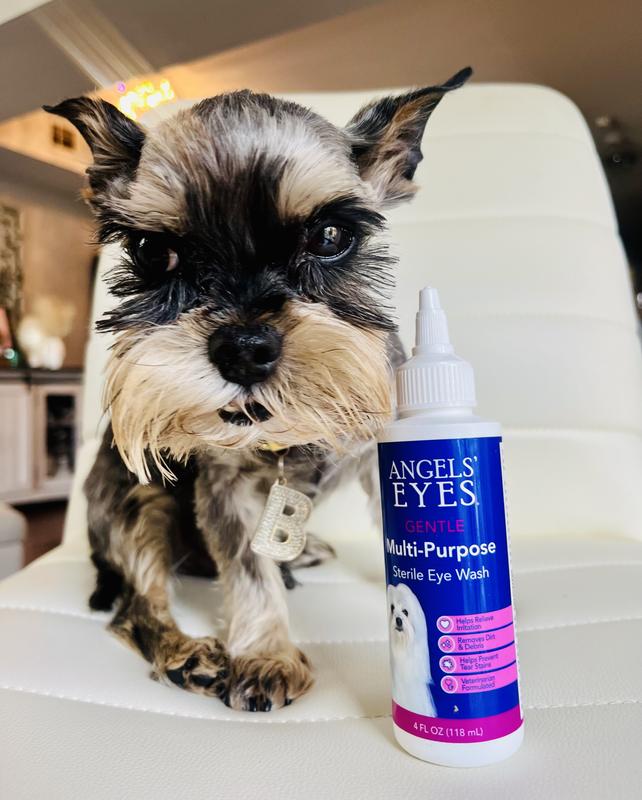 ANGELS EYES Multi Purpose Sterile Dog Cat Eye Wash 4 fl oz bottle reviews Chewy