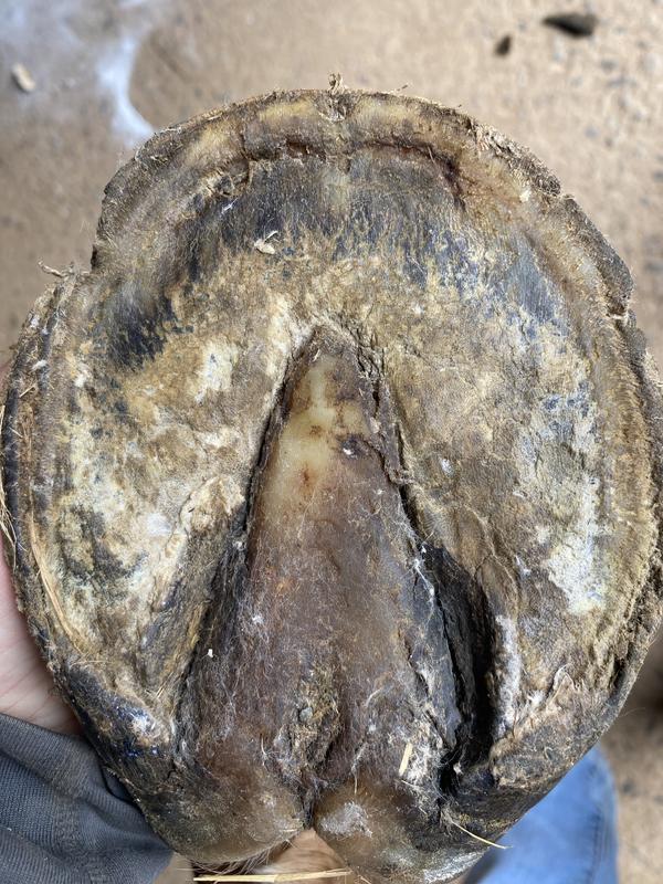 After just 3 days of application!