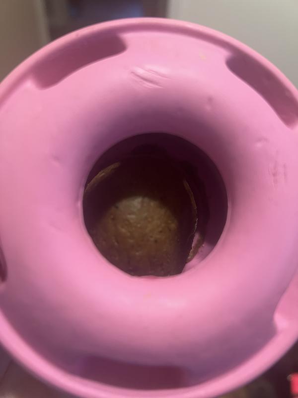 Refill sits about an inch below the opening in the XL toy for the Pupsicle.