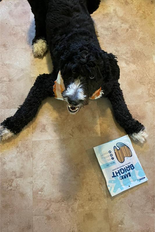 Waiting like a gentleman for his first taste…