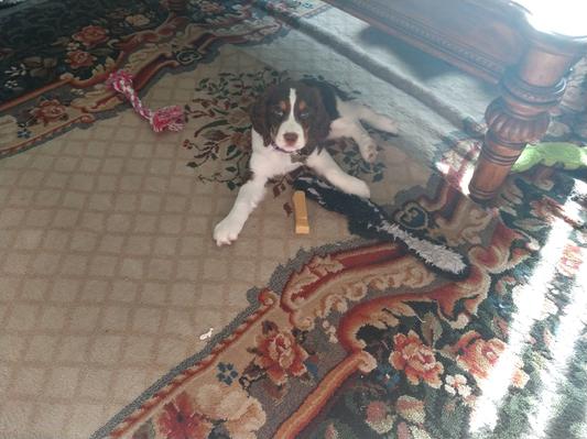 Kono and her Yak cheese chew