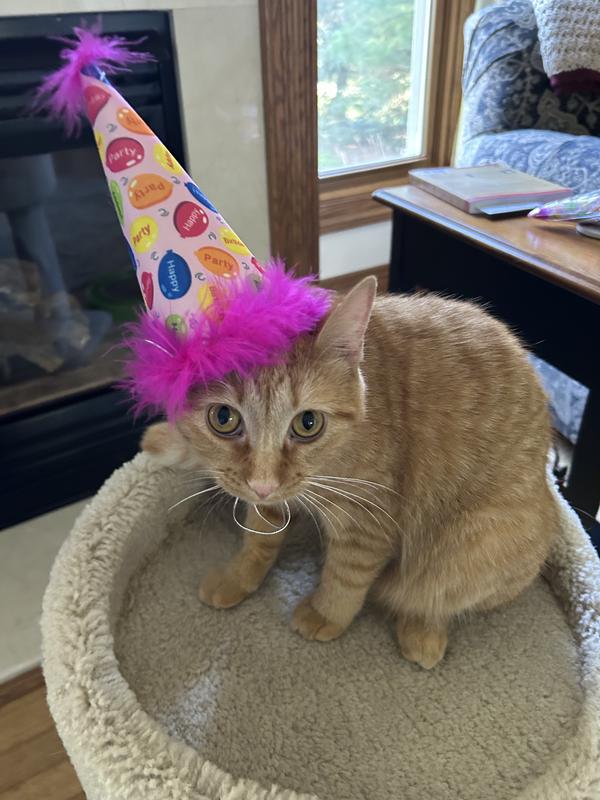 1st Birthday