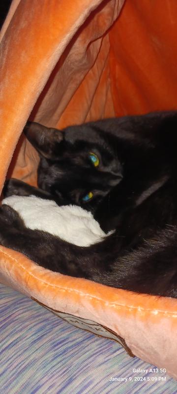 First good sleep in the cave.  😸