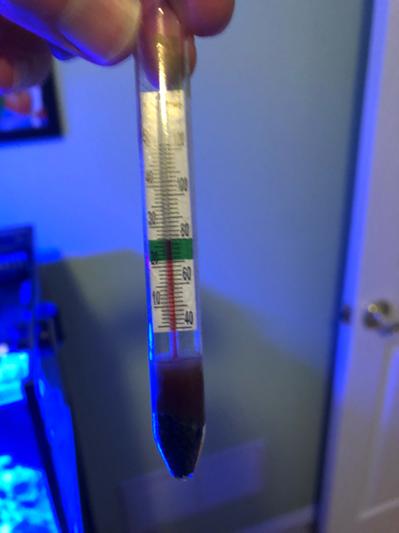 Coralife Thermometer Digital W/Battery Aquarium –