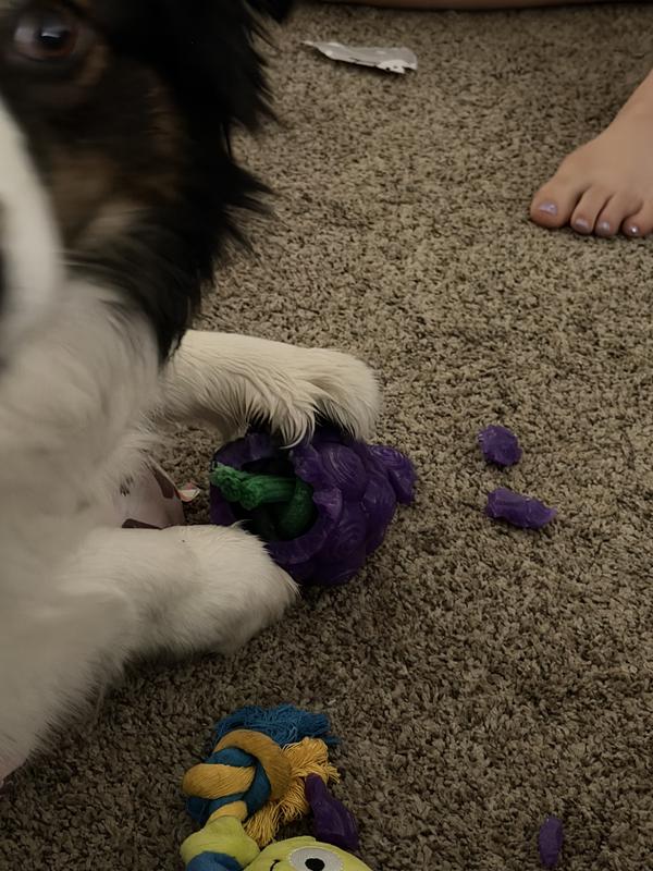 RIP new grape toy