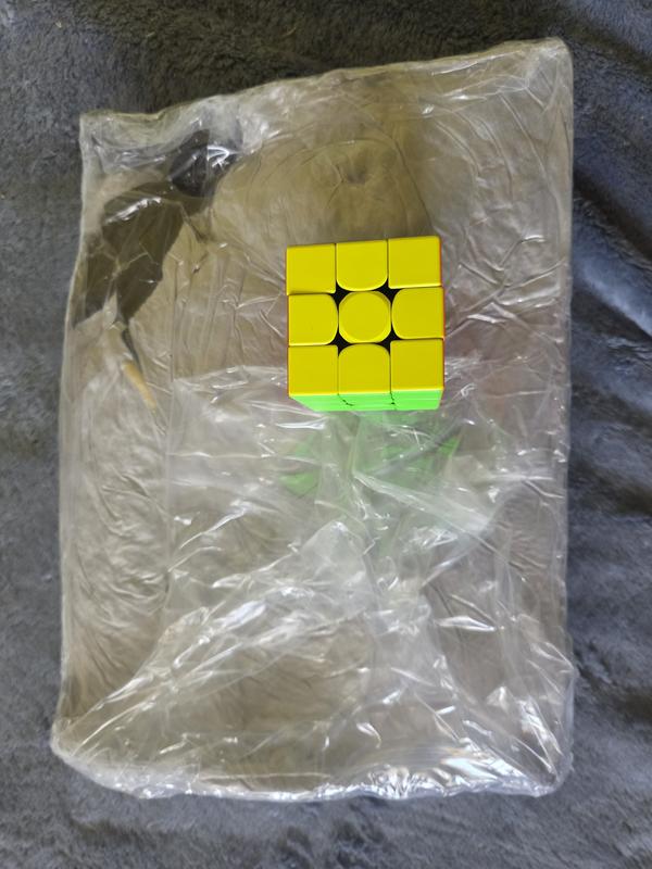 It came so squeezed up in a tiny package!