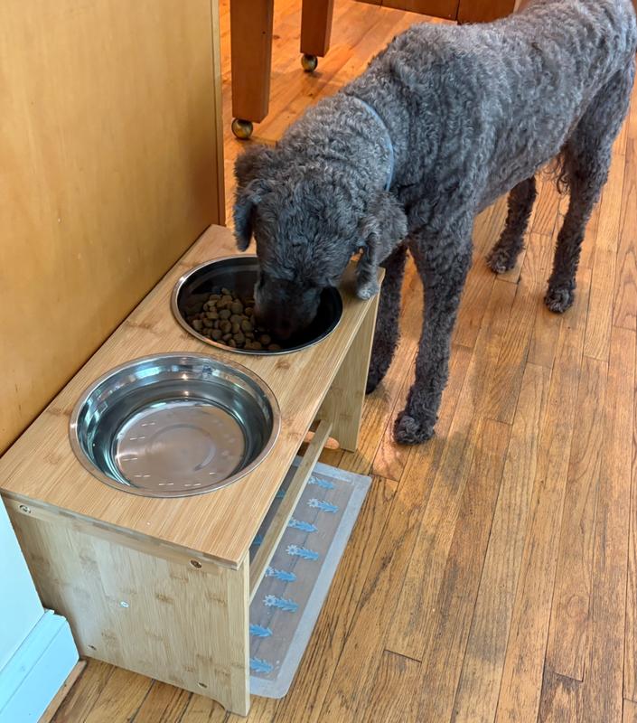 Dwight enjoying his dinner without stooping.