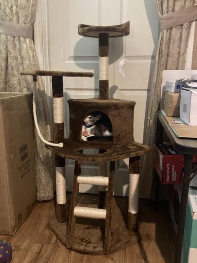 Luckys new tower of fun