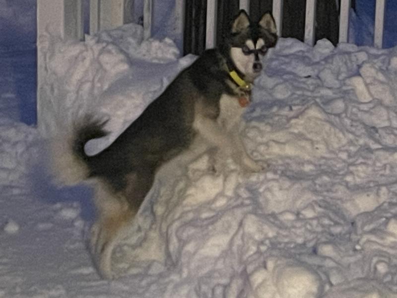 Bright Color Easily seen & read