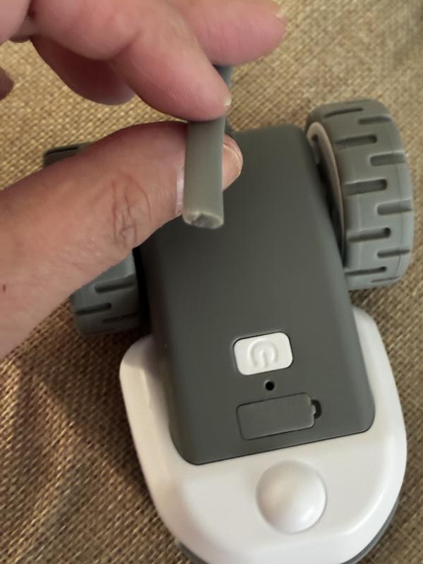 The silicone tail gnawed through