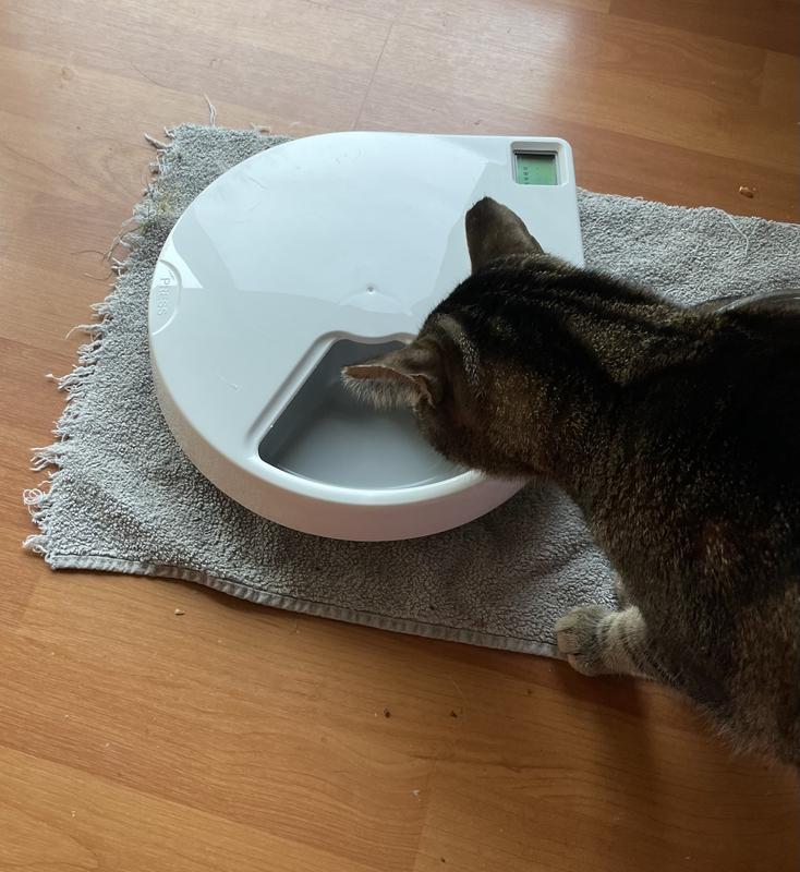 CAT MATE C500 Digital 5 Meal Automatic Dog & Cat Feeder