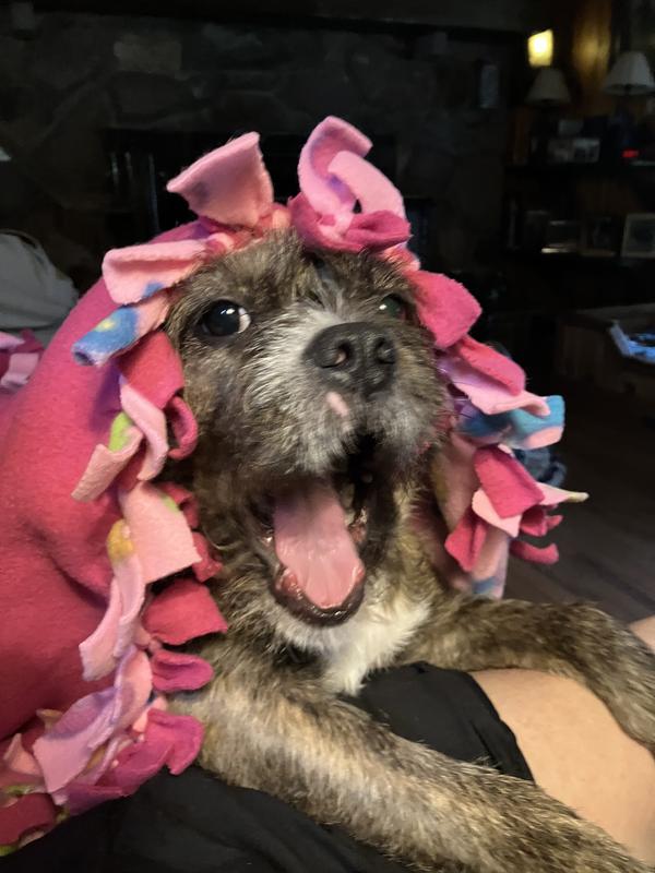 Look at my pearly whites!