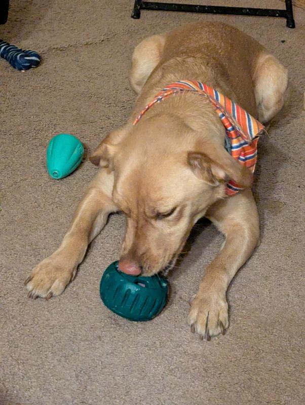 Large toy