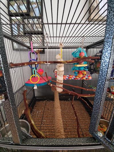 YAHEETECH Stackable Wide Divided Breeder Bird Cage, Black - Chewy.com