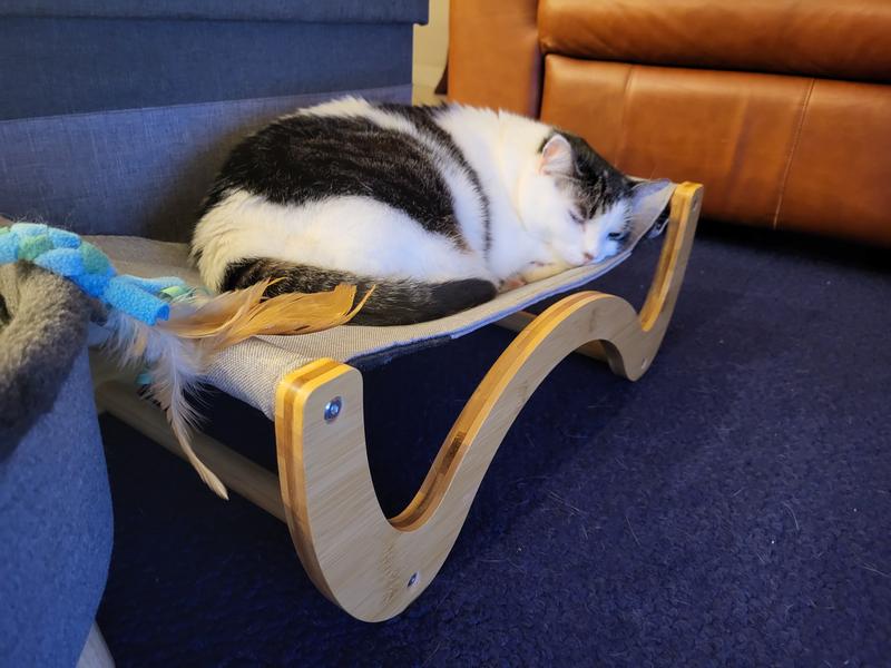 INSTACHEW Raunji Hammock Cat Bed