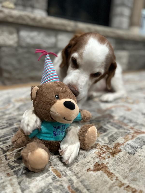 Adorable birthday squeaky dog toy