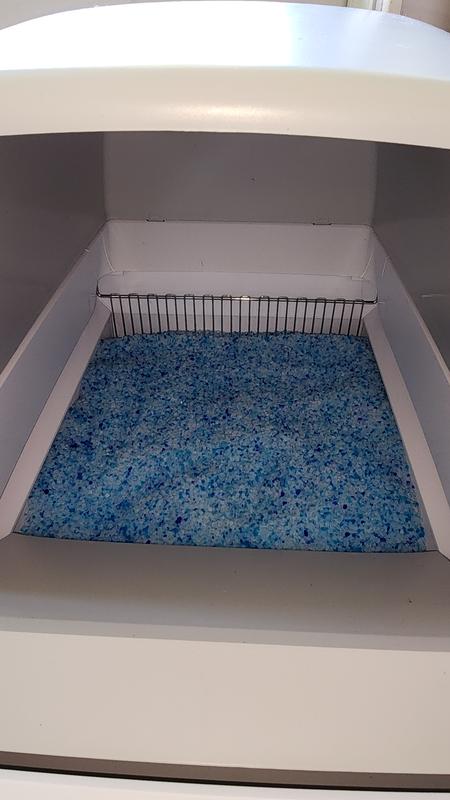 Seems roomy enough in there for the regular-sized cat