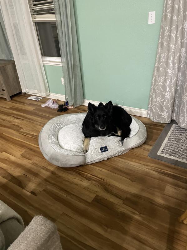 SERTA Oval Couch Cat & Dog Bed, Gray, Large