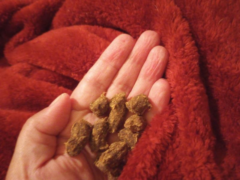 The food has so much texture and I guess that's all the meat in it. (The first few ingredients are all real meat)