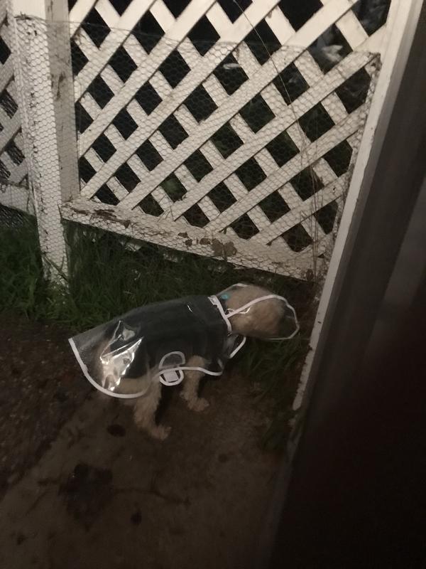 In her rain gear