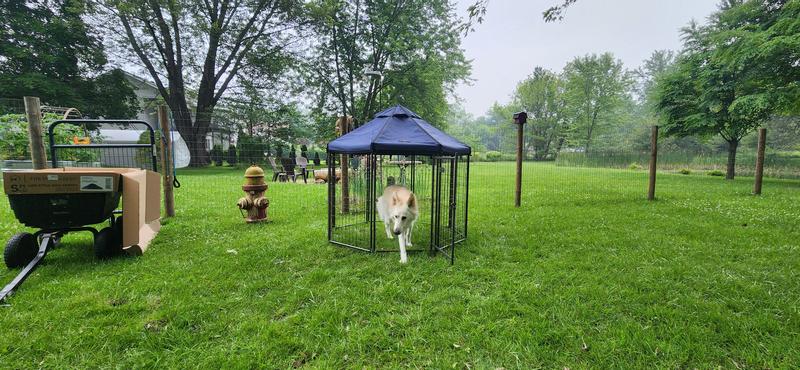 WIN WORLD International Pet Gazebo Dog Kennel, Earth Taupe, 3-ft 