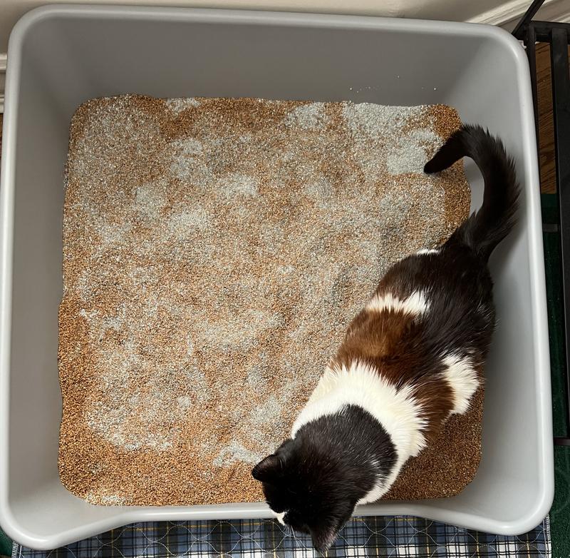 SHIRLEY K'S Senior Cat Litter Box, XLarge, Gray