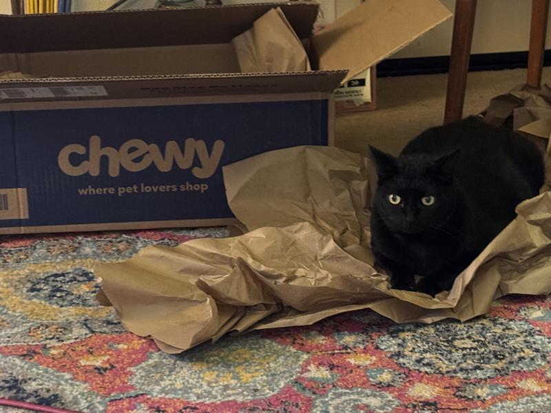 Happy babies - Papeika enjoy Chewy’s Kringle paper and box after her delivery