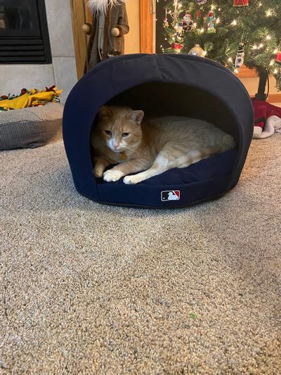 Chicago Cubs Nap Cap Plush Dog Bed