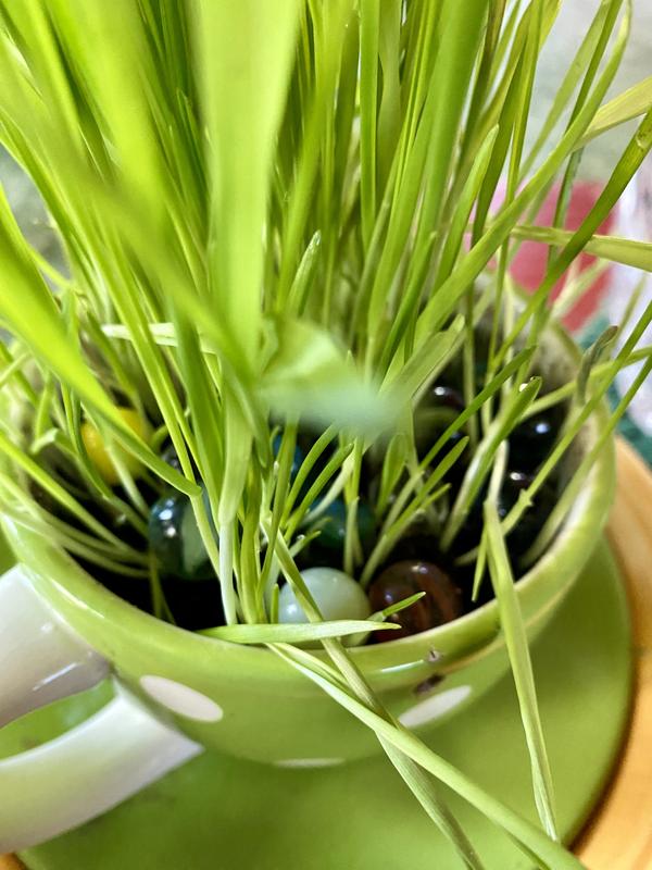 Marbles to prevent digging