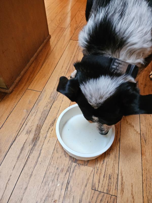 Good to the last drop!