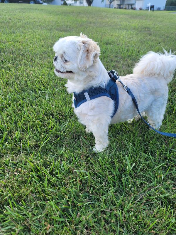 He so proud with his new look