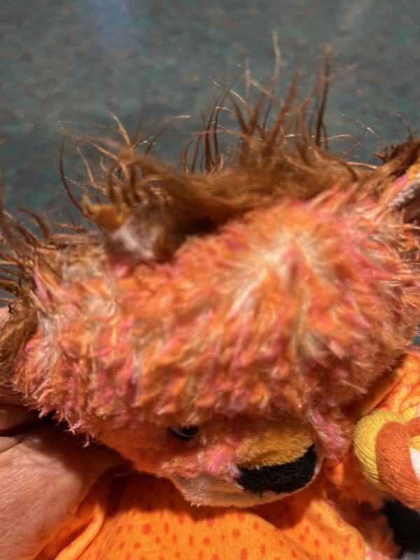 Ears and tails are first to go with a chewing puppy