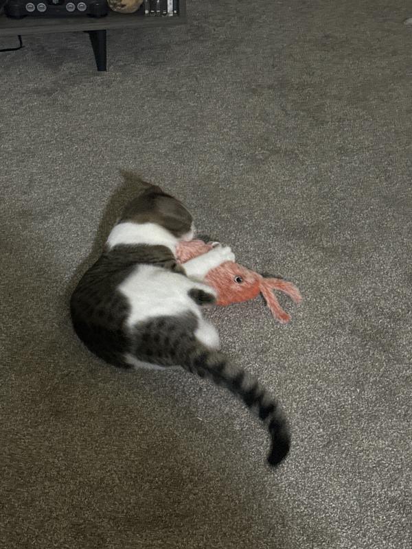 going sicko mode on the lobster