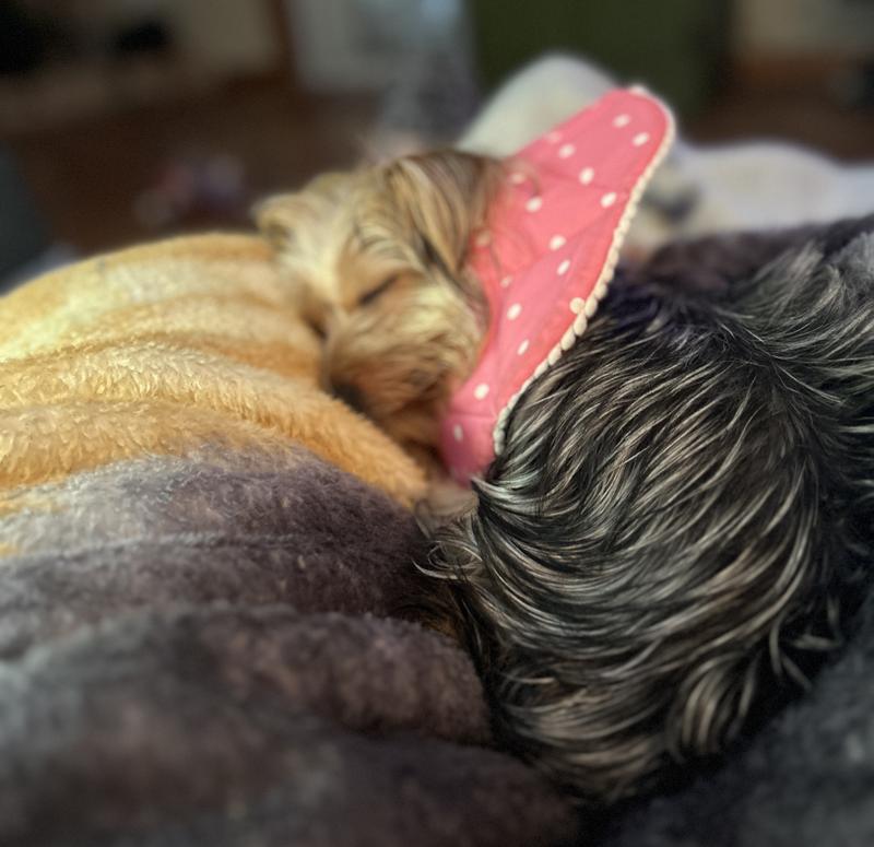 Sleeping with personal pillow.