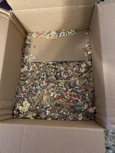 Seed in box.